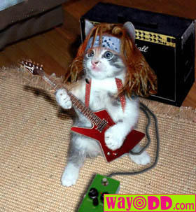 rock 